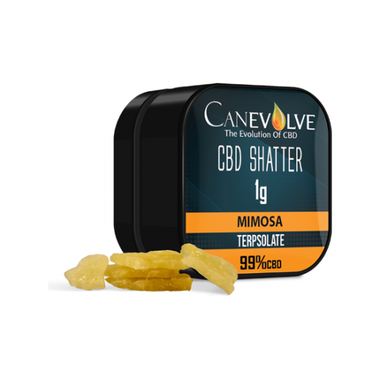 Canevolve 99% CBD Shatter - 1g - Flavour: Mimosa