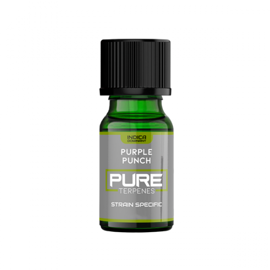 UK Flavour Pure Terpenes Indica - 5ml - Flavour: Purple Punch