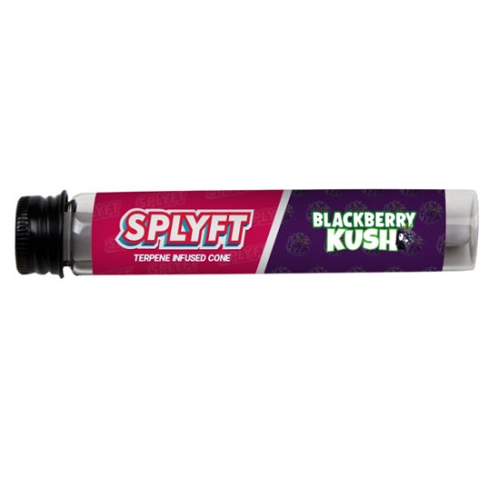 SPLYFT Cannabis Terpene Infused Rolling Cones – Blackberry Kush (BUY 1 GET 1 FREE) - Amount: x1