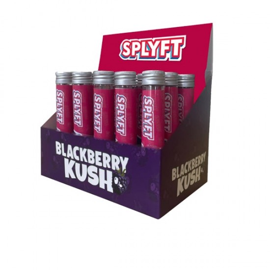 SPLYFT Cannabis Terpene Infused Rolling Cones – Blackberry Kush (BUY 1 GET 1 FREE) - Amount: x15 (Display Box)